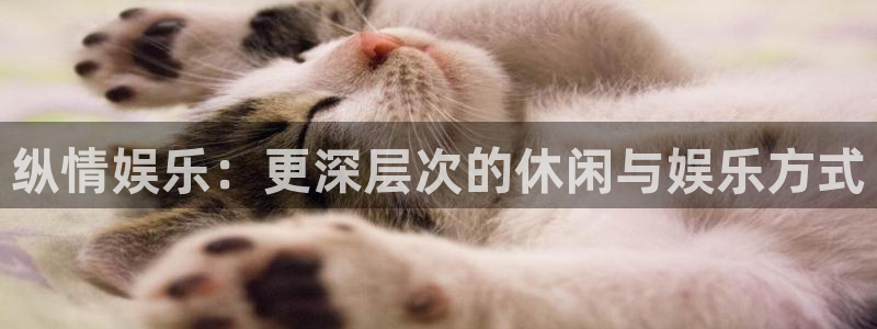 derpixon糖果派对：纵情娱乐：更深层次的休闲与娱乐方式