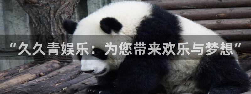 糖果派对如何触发彩球：“久久青娱乐：为您带来欢乐与梦想”