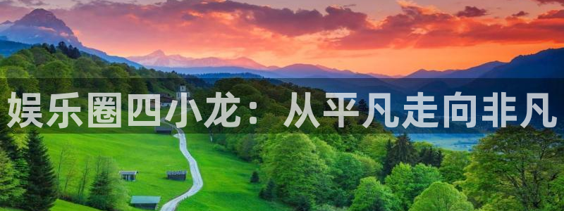 糖果派对网址有哪些：娱乐圈四小龙：从平凡走向非凡