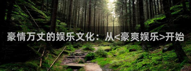 糖果派对下载app：豪情万丈的娱乐文化：从<豪爽娱乐>开始