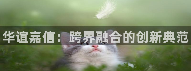 糖果派对诀窍：华谊嘉信：跨界融合的创新典范