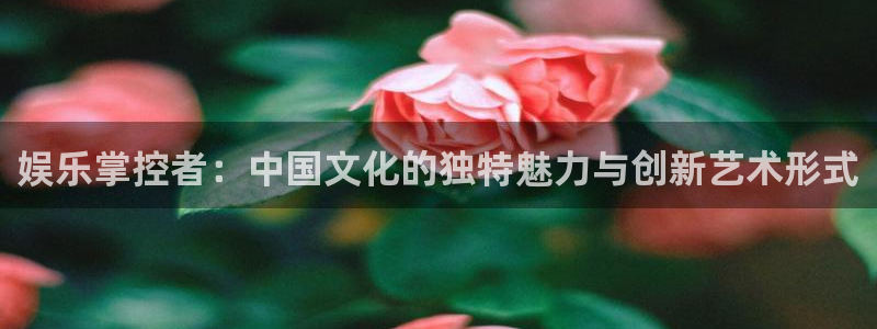 糖果派对下载游戏：娱乐掌控者：中国文化的独特魅力与创新艺术形式